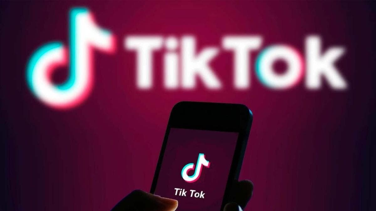 TikTok, rlanda'da 420 milyon avroluk yatrmla veri merkezi kuracak