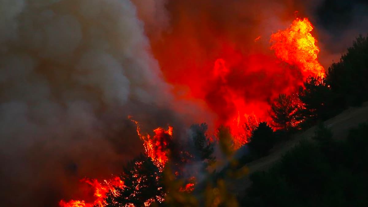 ��i�leri Bakanl���ndan  'Ormanl�k Alanlar ve Civar�nda Ate� Yak�lmamas�' genelgesi