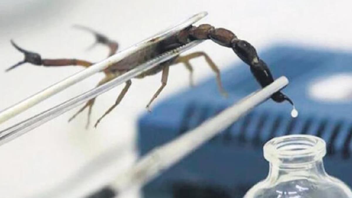 Zehrin gram�n� 10 bin dolara ihra� edecek