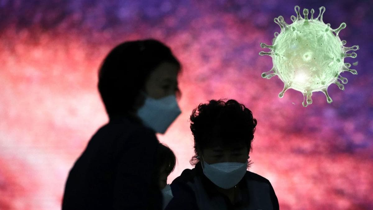 in'de 49, Gney Kore'de 28 yeni koronavirs vakas grld 