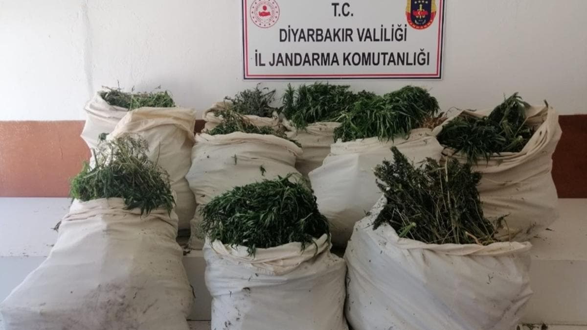 Diyarbakr'da narko-terr operasyonu: 975 bin kk Hint keneviri, 176 kilo kubar esrar 