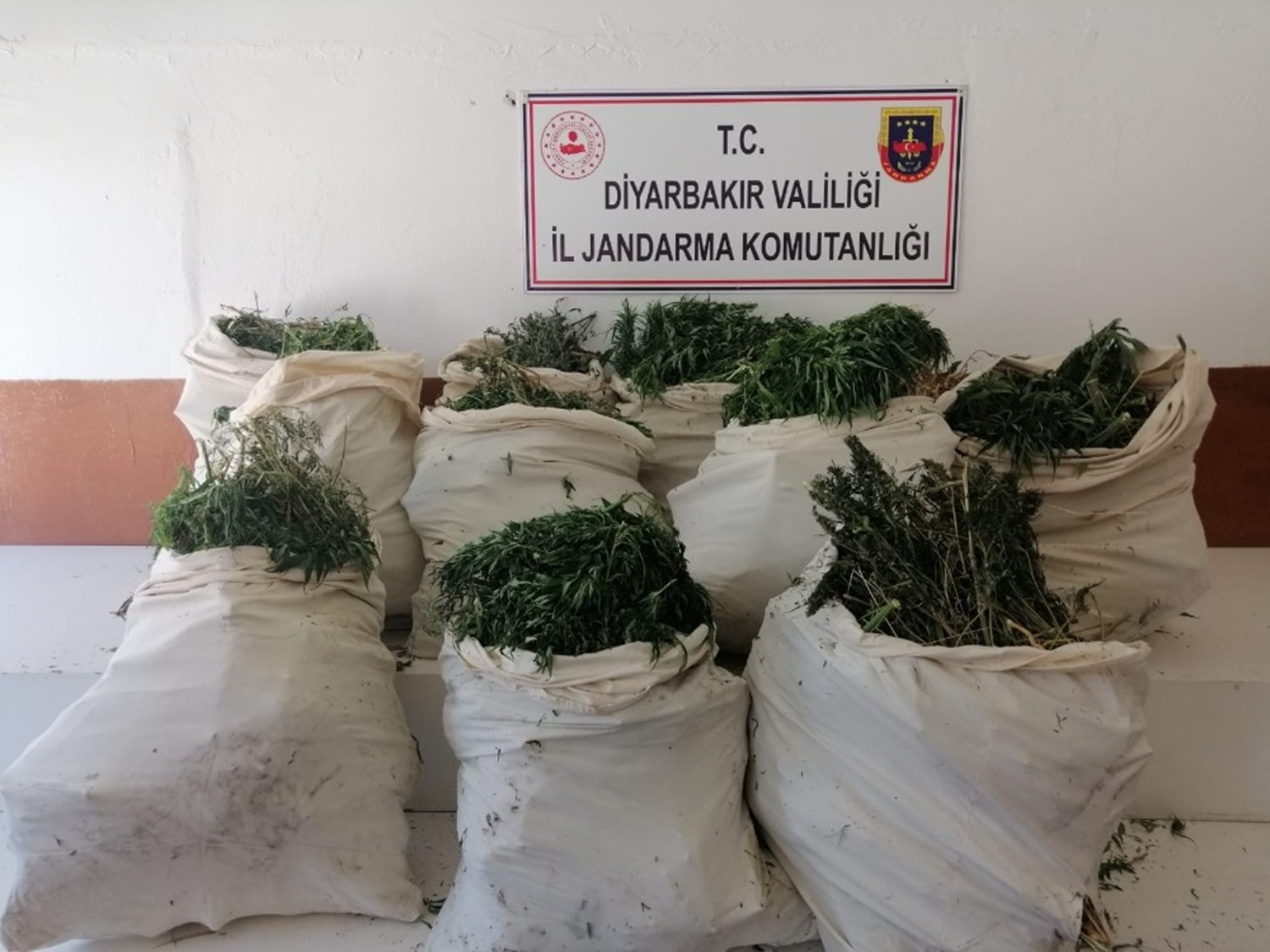 Diyarbak�r'da narko-ter�r operasyonu: 975 bin k�k Hint keneviri, 176 kilo kubar esrar