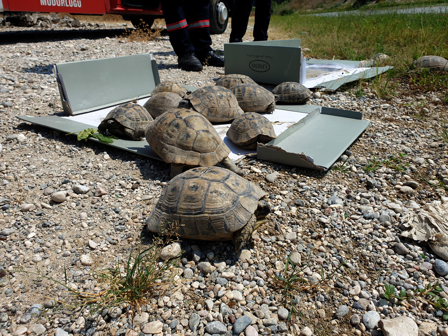 Kullan�lmayan evin bah�esinde bulundular! Tam 50 tane...