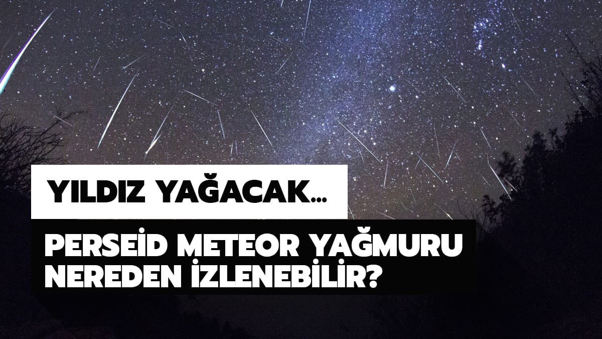 Perseid meteor yamuru nereden izlenebilir? stanbul'da meteor yamuru nereden izlenir?