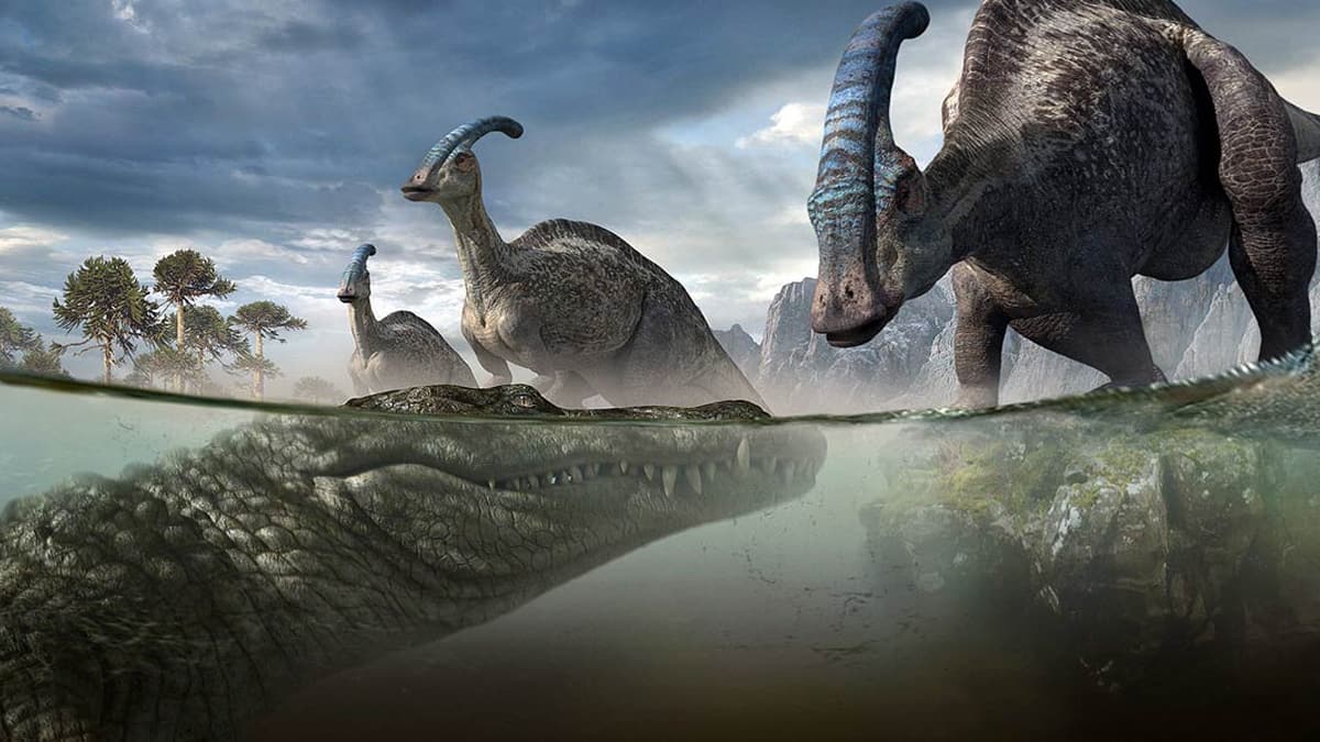 Bilim d�nyas�n� �a��rtan ke�if! 'Muz kadar di�leri vard�'