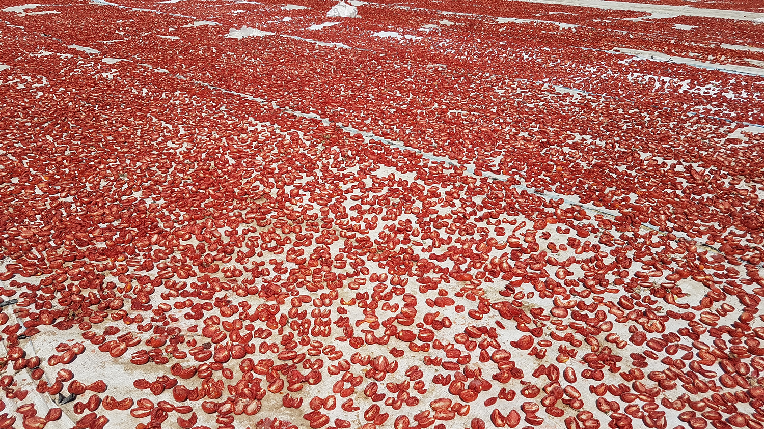 Ni�de'de �retiliyor, 6 �lkeye ihra� ediliyor