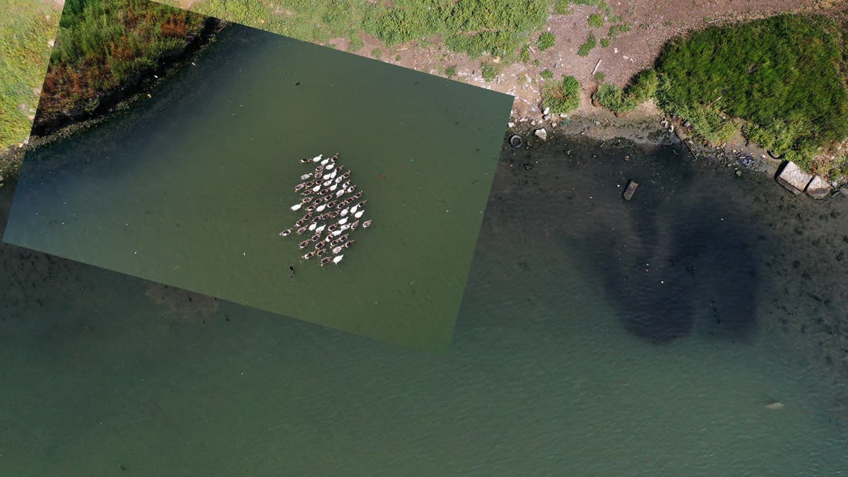 �ehri �stanbul'a zul�m... Hali�'in sular� karard�, ��pler y�z�yor