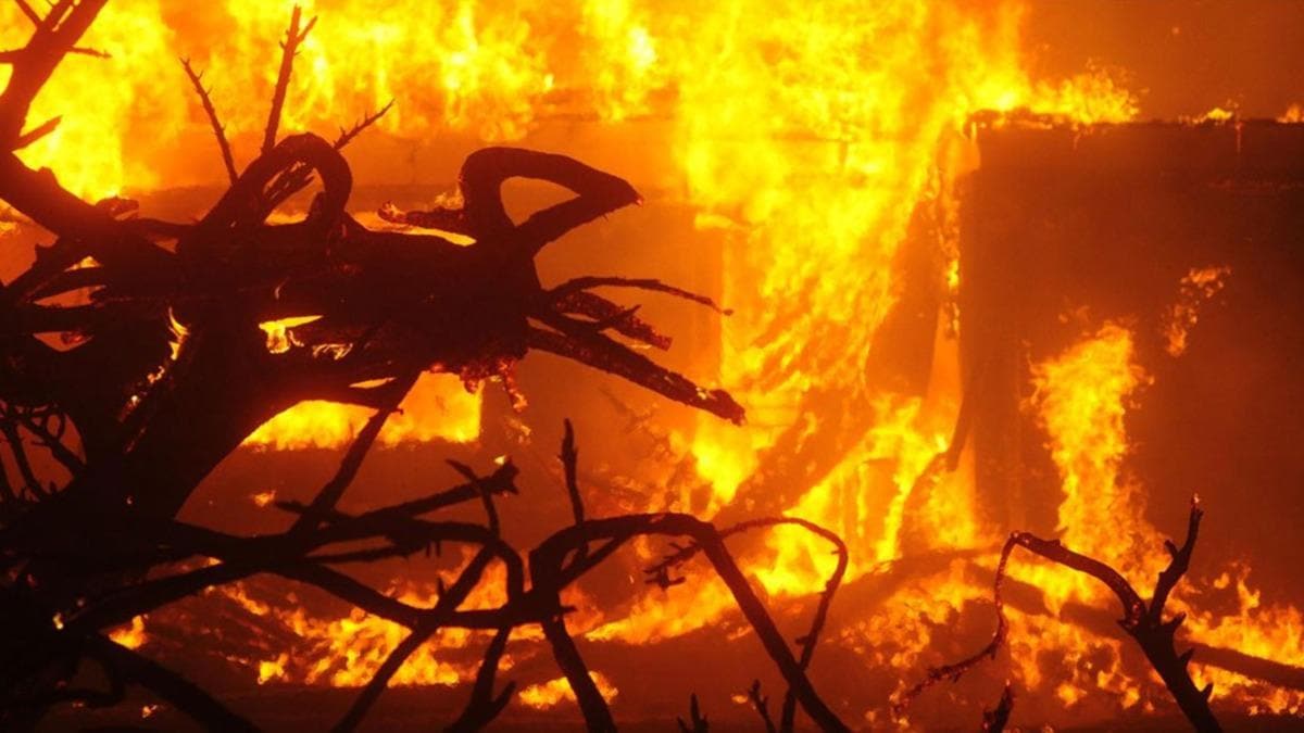 Kaliforniya'da devam eden yangnlarda 7 kii hayatn kaybetti
