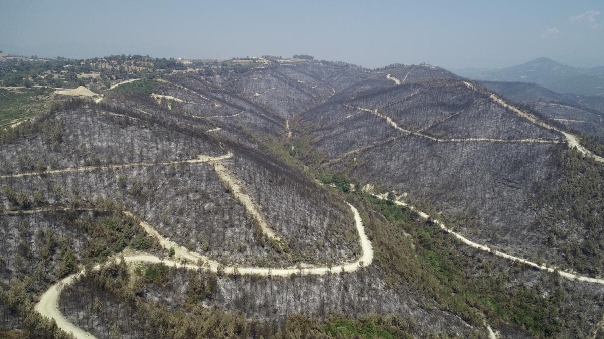 Adana'da yangnda zarar gren alan yeniden yeertilecek 