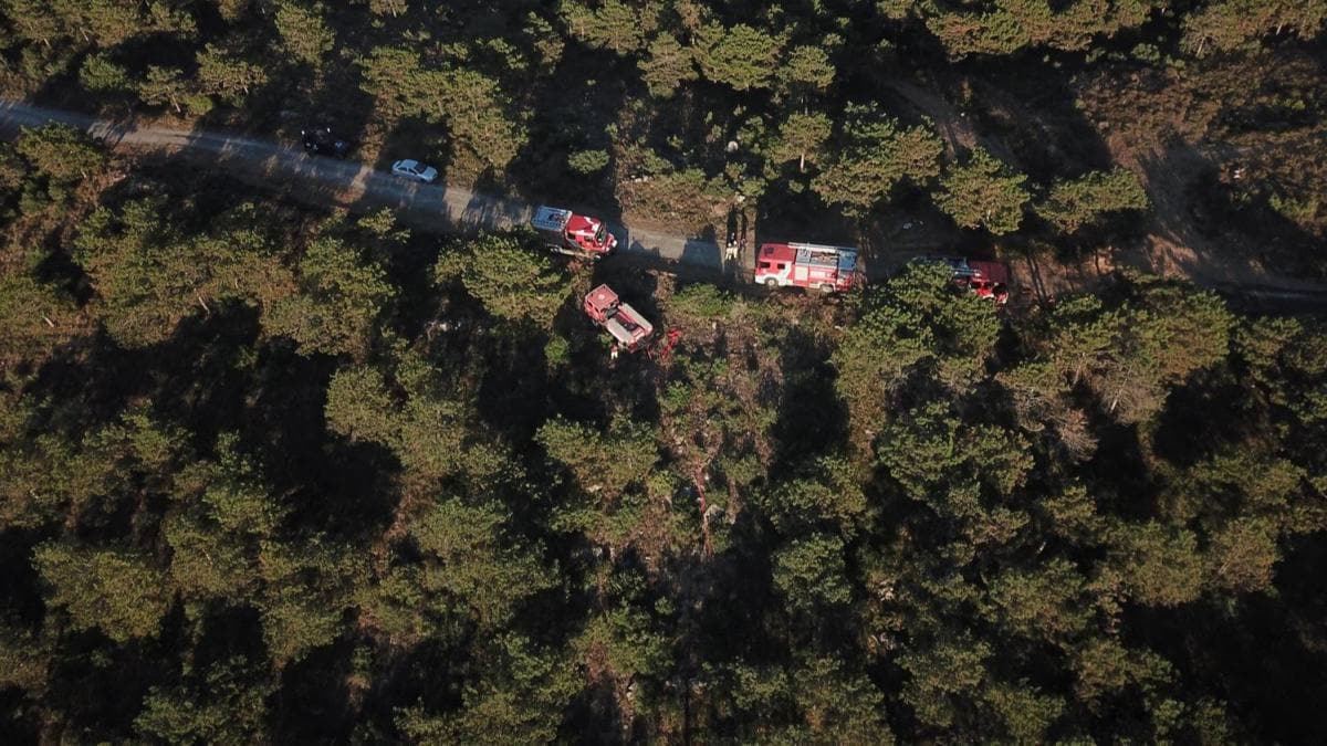 Maltepe'deki orman yangn kontrol altna alnd