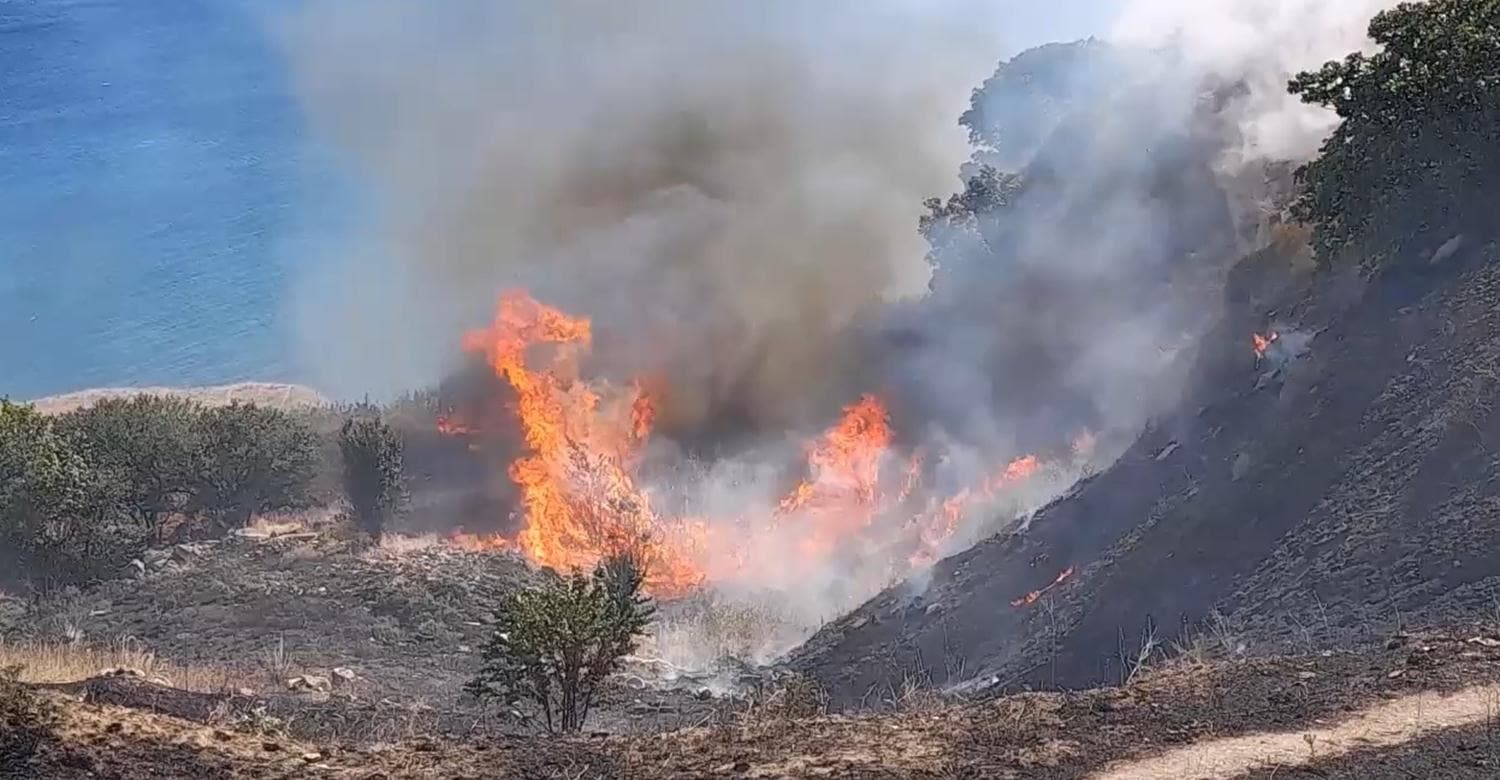 Silivri'de mangal yakan tatilci yang�n ��kard�