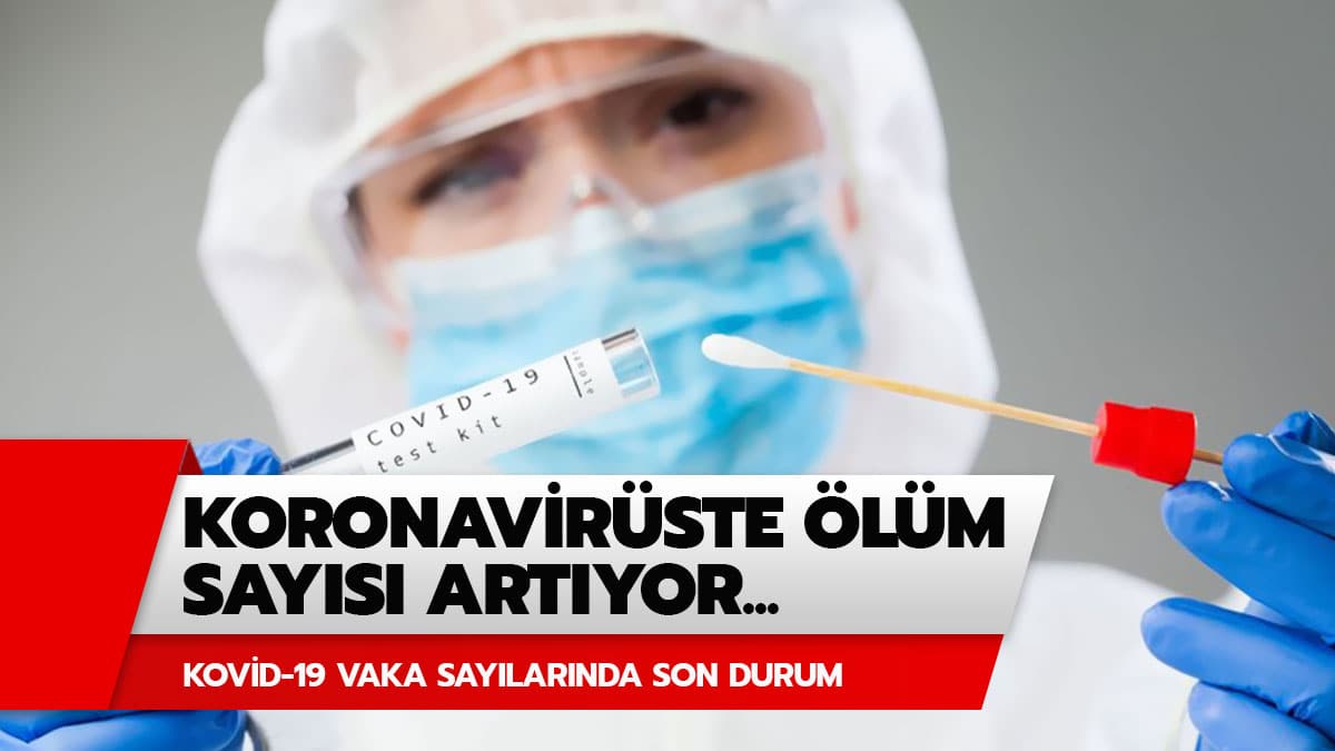 D�nk� koronavir�s tablosunda vaka say�s� ka� oldu? 30 A�ustos 2020 T�rkiye koronavir�s tablosunda son durum