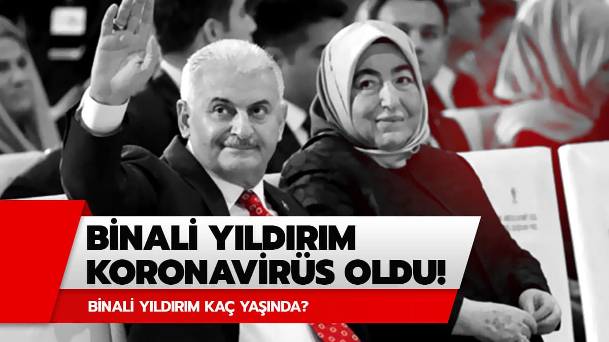 Binali Y�ld�r�m ka� ya��nda?