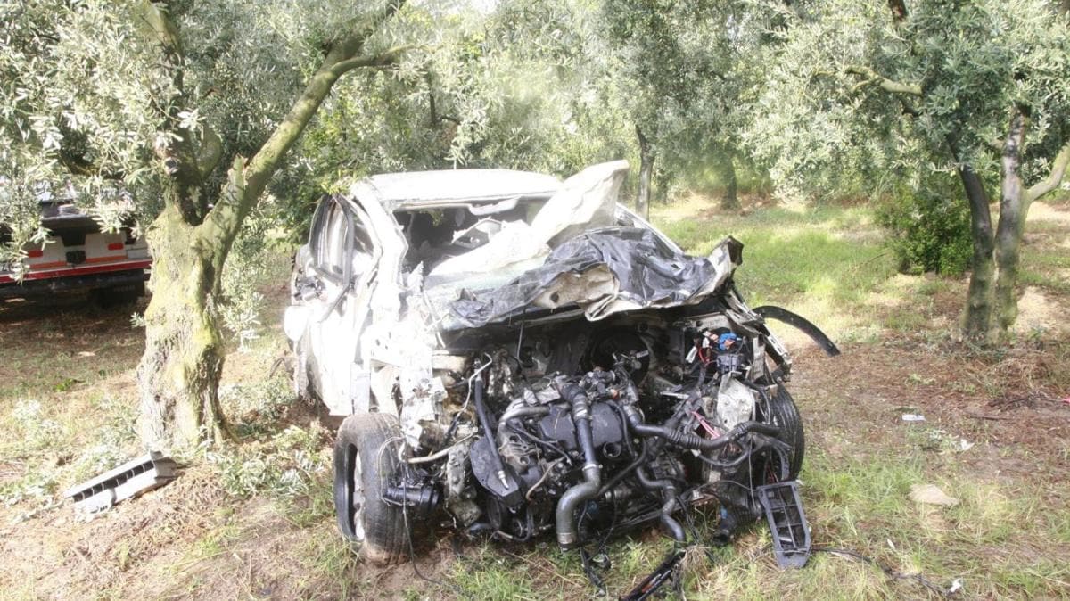 Kontrolden kan araba tarlaya dalp zeytin aacna arpt: 40 yandaki src ld
