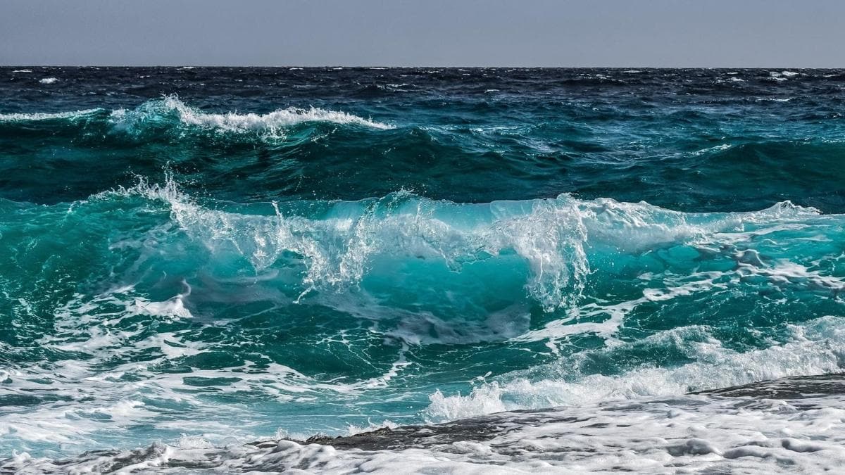 Okyanuslarn dnyadaki 900 milyon ton  karbondioksiti emdii belirtiliyor