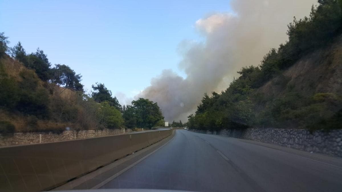 Bursa'da ormanlk alanda yangn kt: Ekipler mdahale ediyor