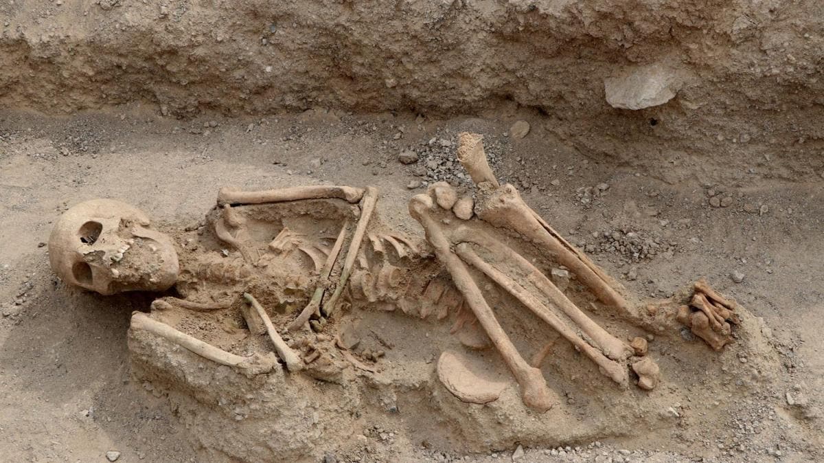 Van'da bulunan 2 bin 750 yllk nekropoldeki iskeletlerde rk di kmad