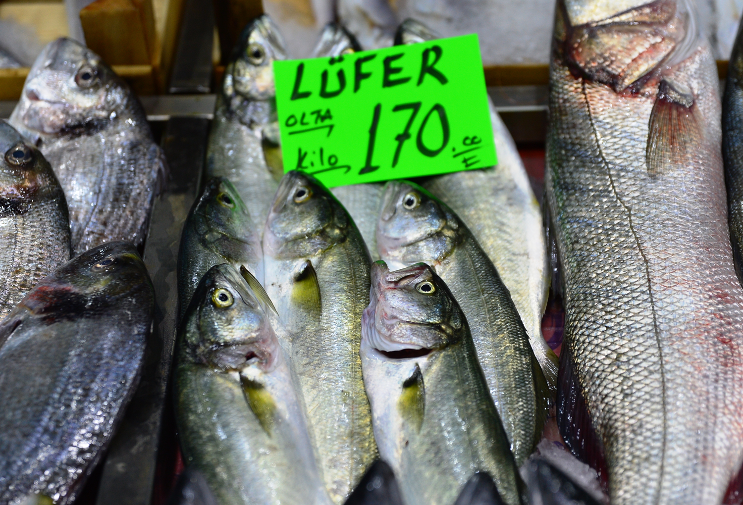 'Denizlerin prensi' tezgahlarda yerini ald�... Kilogram� 170 lira