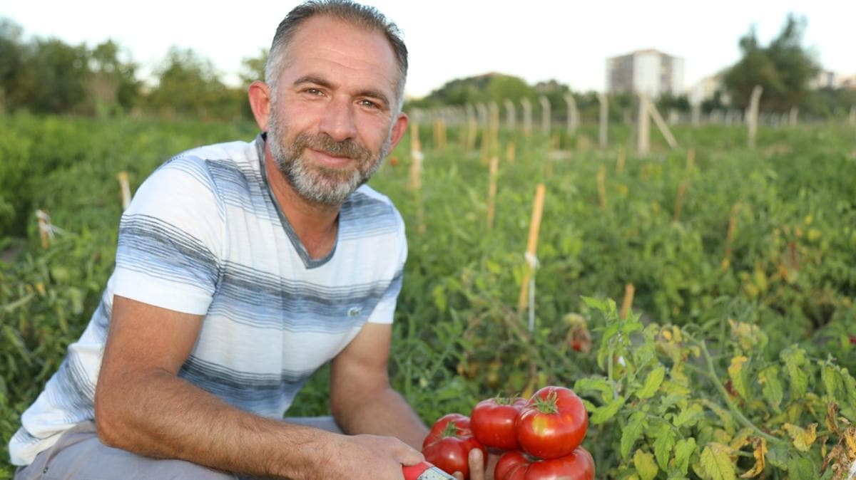 ocukluk hayalini gerekletirdi: Ata tohumlarndan organik rn yetitiriyor
