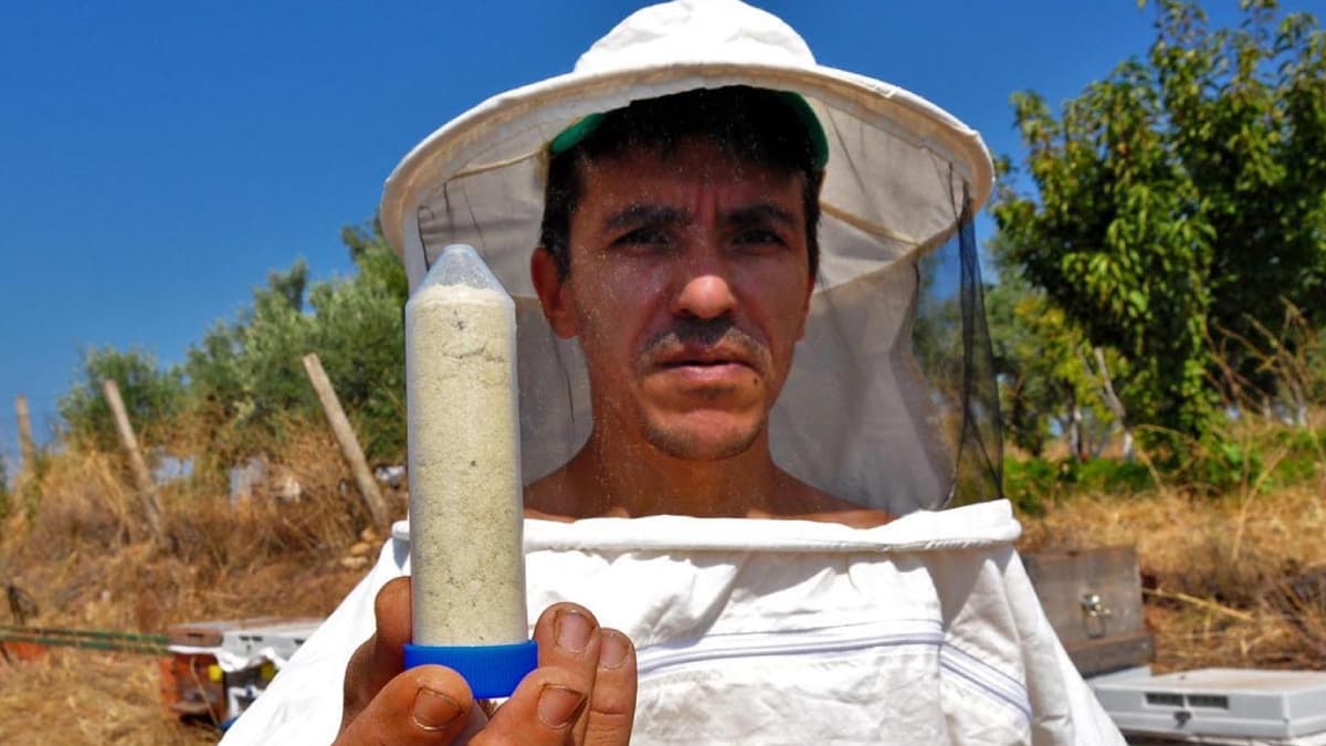 Avrupa �lkeleri s�raya girdi! Gram� 700 TL