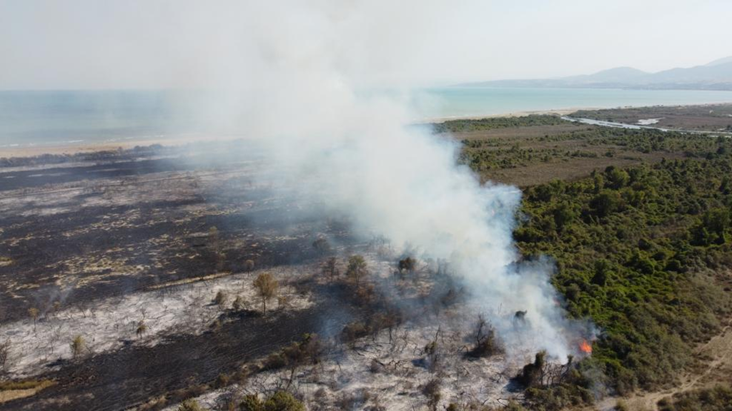 K�z�l�rmak Deltas� Ku� Cenneti'nde korkutan yang�n