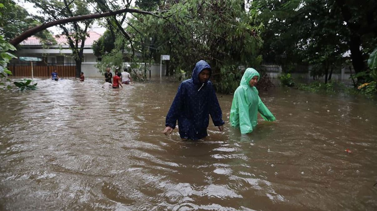 Nijerya'da 50 bin ki�i yerinden oldu