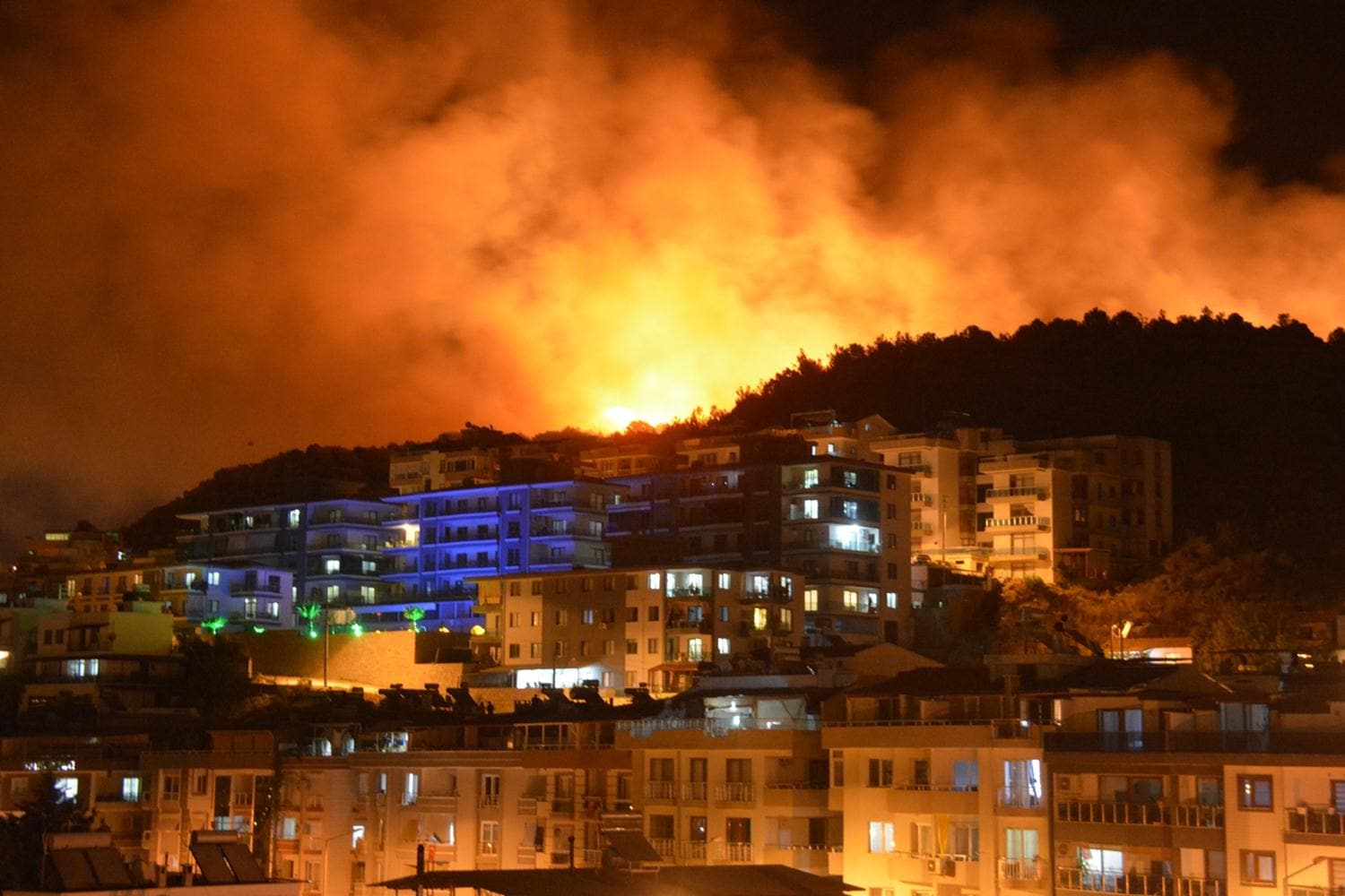 Dikili'de orman yang�n� meydana geldi
