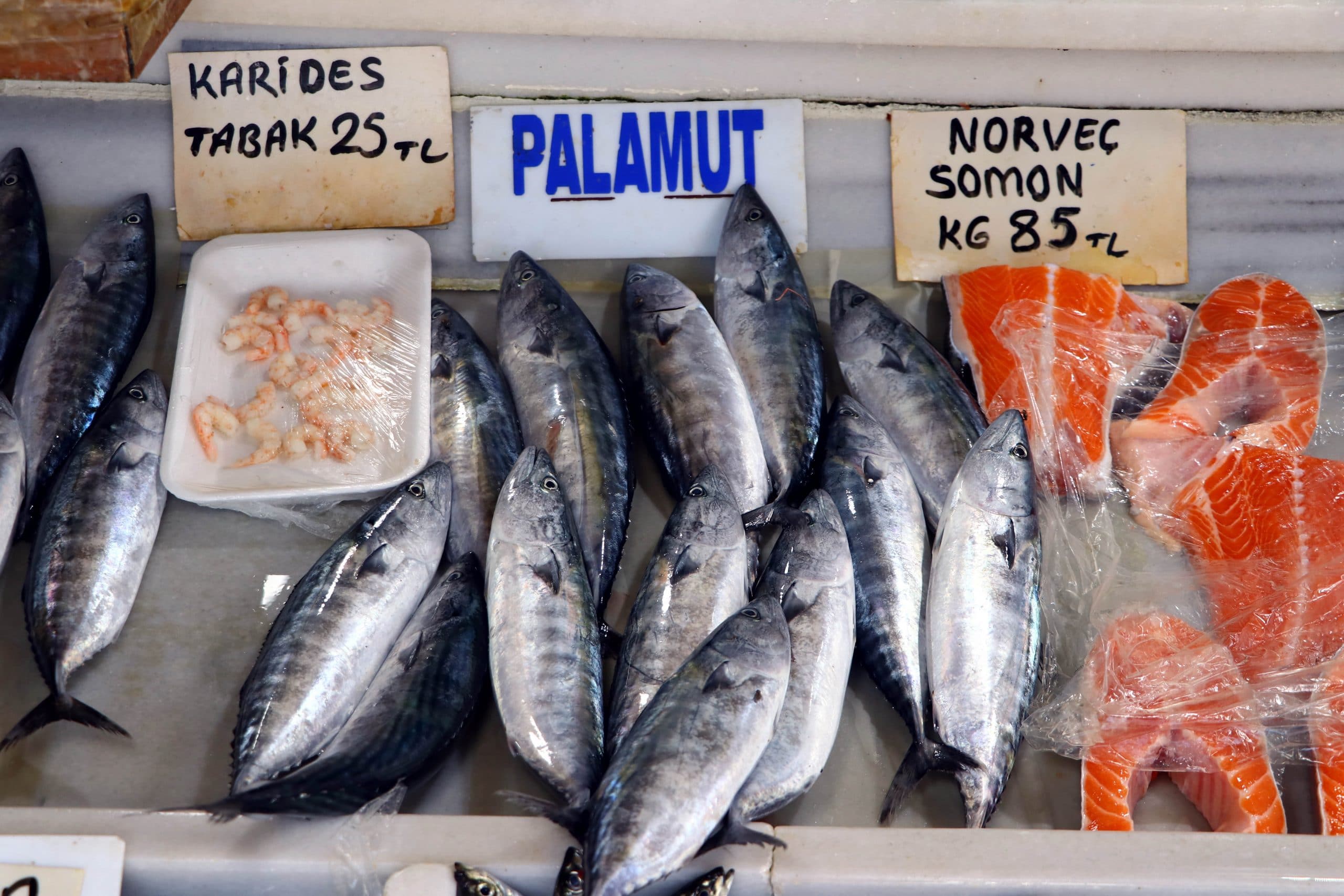 Palamut b�y�d�, fiyat� iki kat�na ��kt�