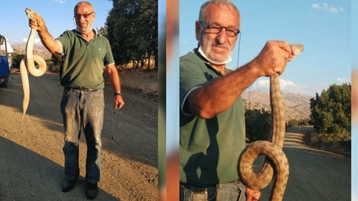 Tek �s�r���yla yeti�kin bir insan� saniyeler i�erisinde �ld�rebiliyor... Elleriyle bo�az�ndan yakalad�