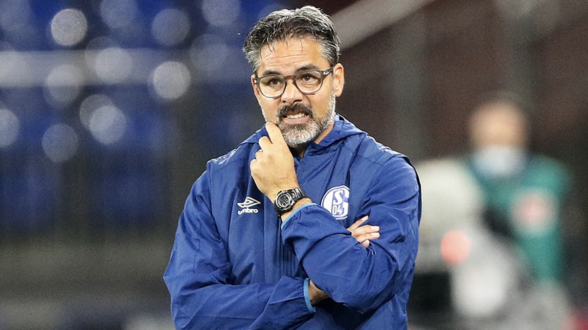 Schalke'de David Wagner d�nemi sona erdi