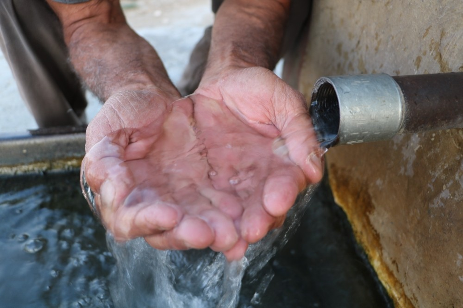 B�brek ta��n� d���rd���ne inan�l�yor: K�t� kokusuna ald�rmadan kana kana i�iyorlar