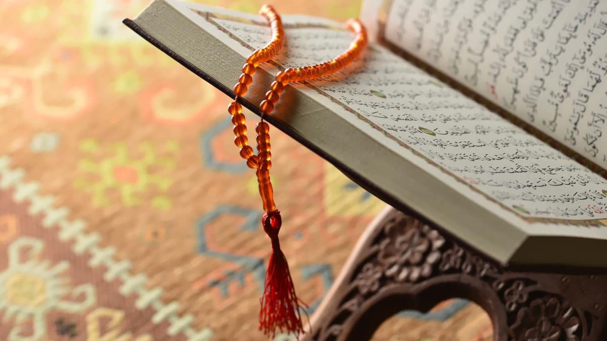 Safer ay�nda hal�n�n alt�na para koymak nedir?