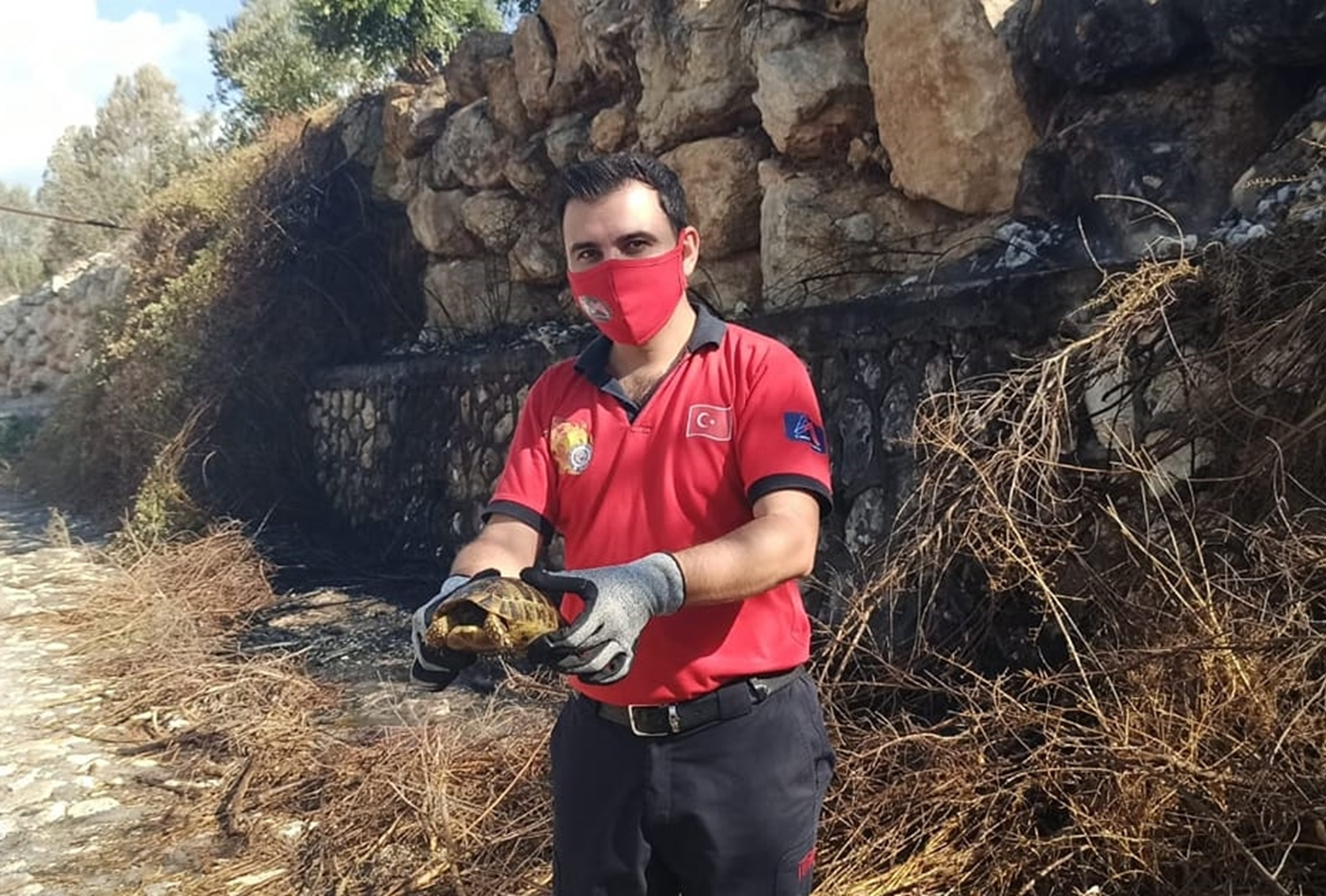 Alevlerin aras�nda kalan kaplumba�ay� itfaiye eri kurtard�