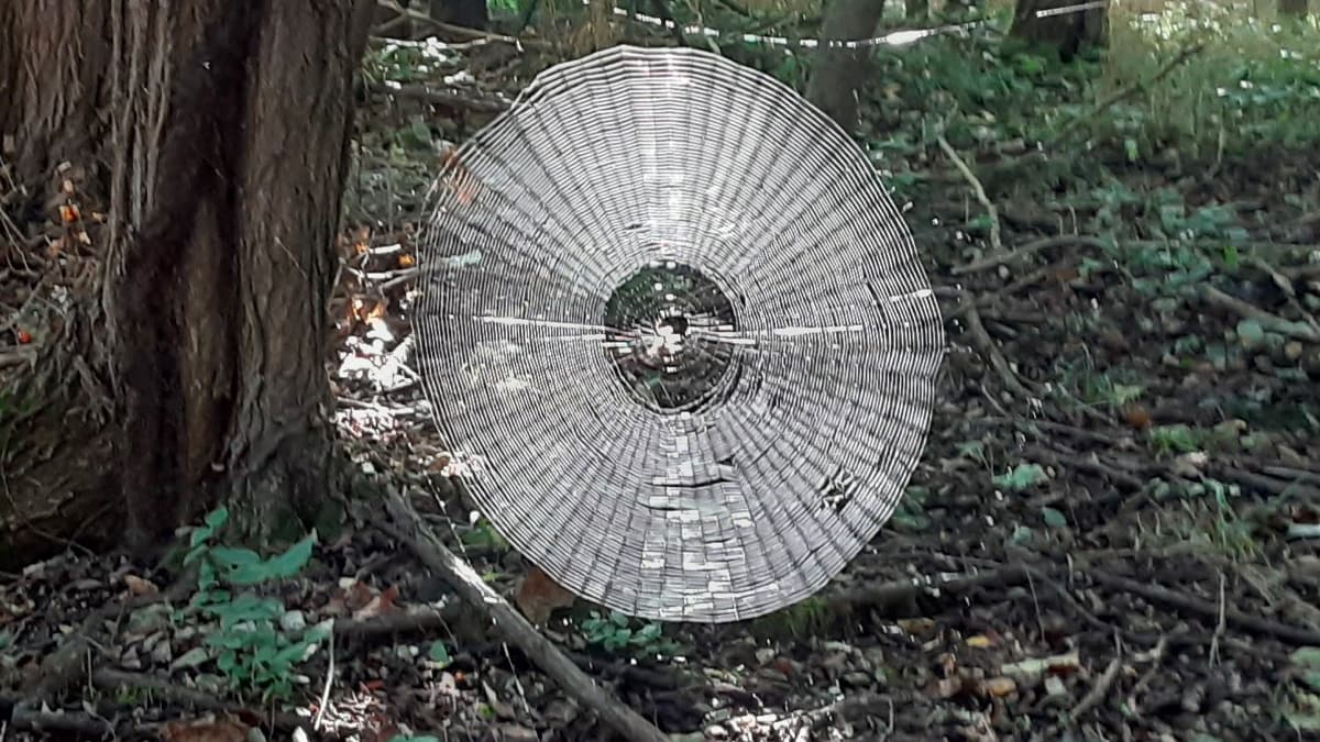 Dev �r�mcek a�� g�renleri �a��rtt�