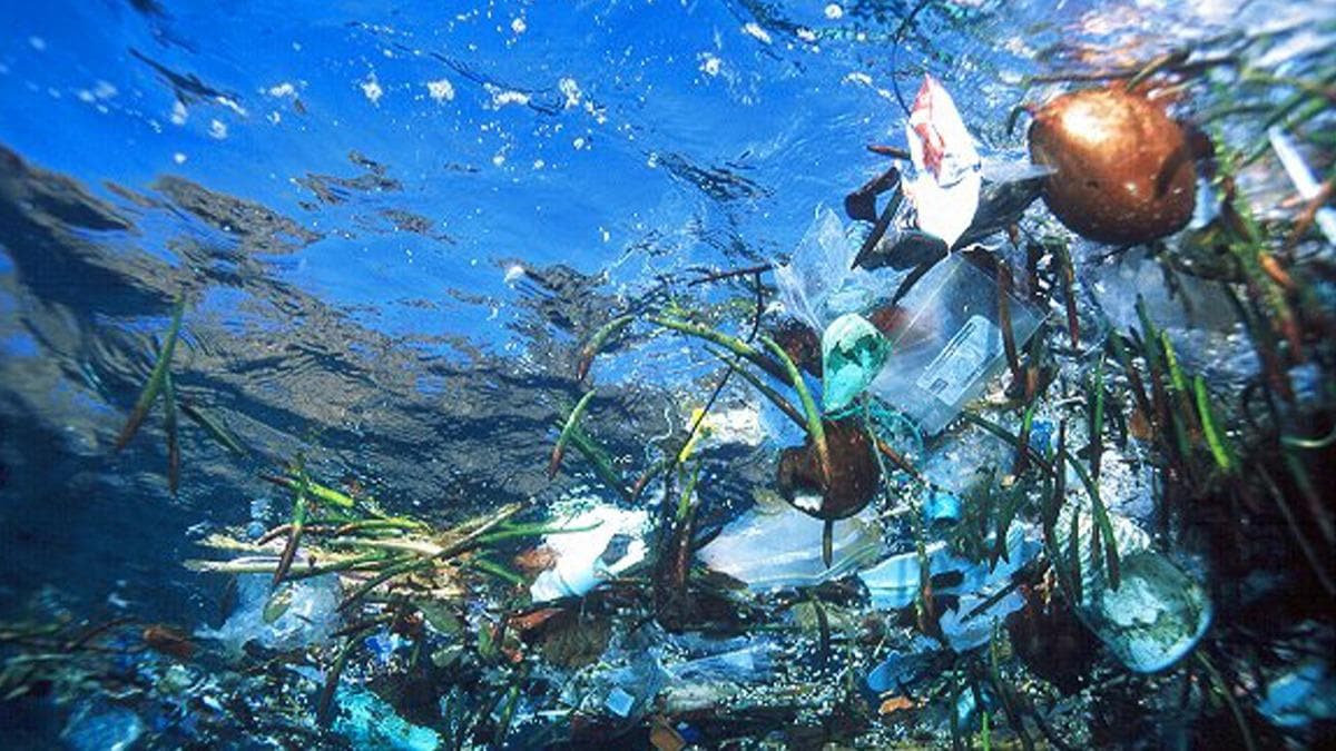 Okyanuslarn tabannda 14 milyon ton mikro-plastik atk var