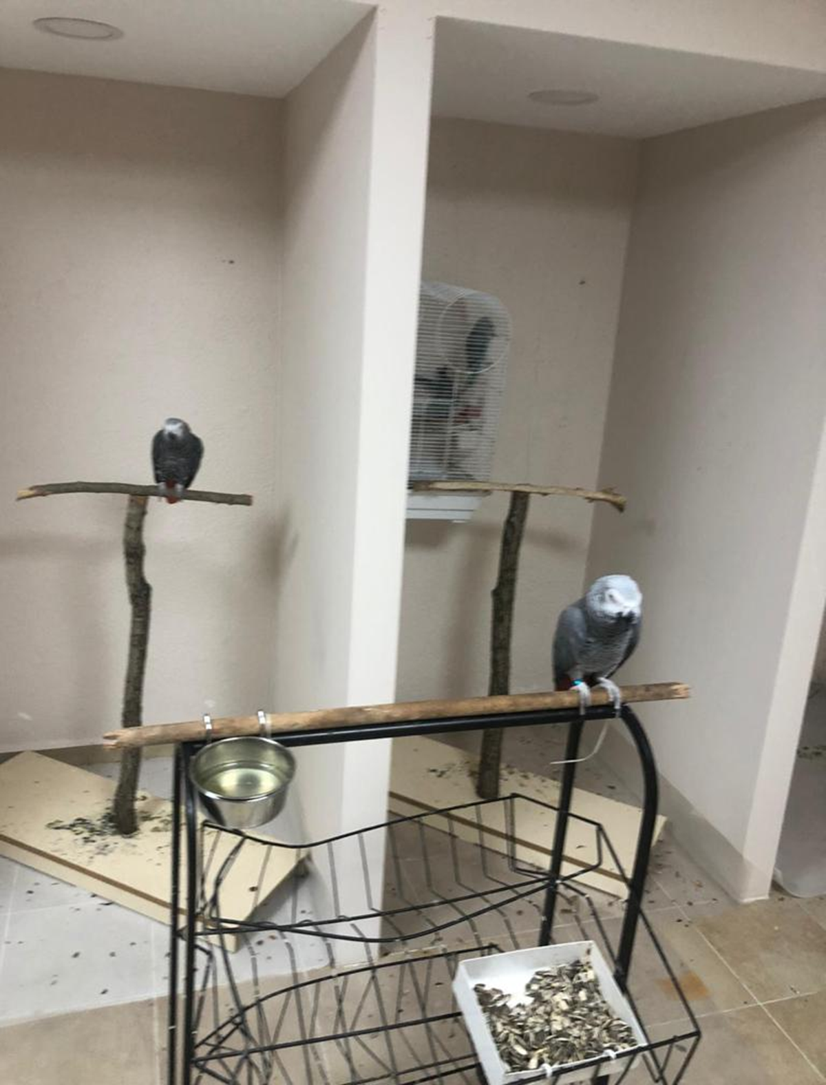 Yasa d��� papa�an sat��� ger�ekle�tiren 2 ki�iye 16 bin lira idari para cezas�