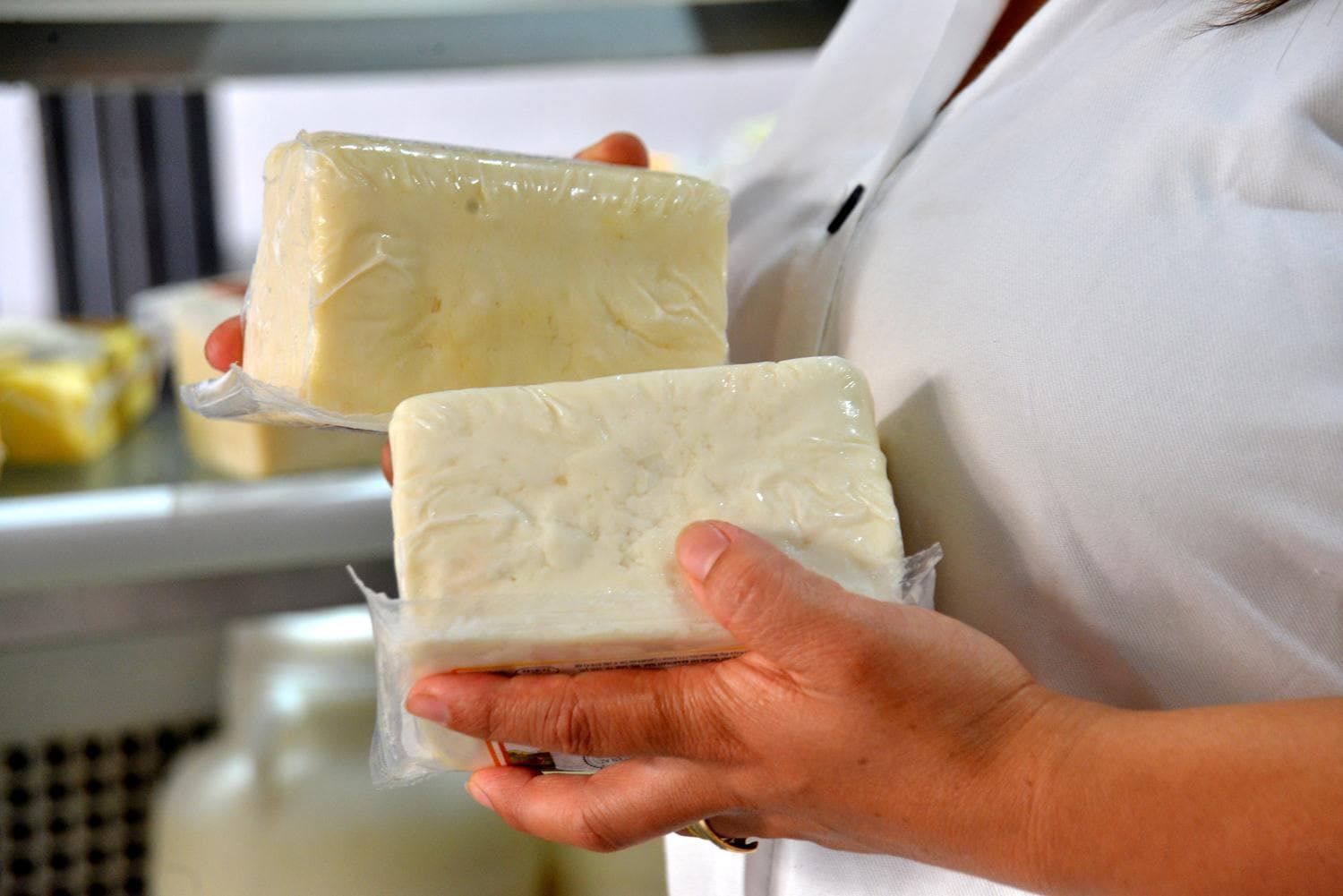 B�y�k oyun! Peynire bitkisel ya�, yo�urda ni�asta kat�yorlar!