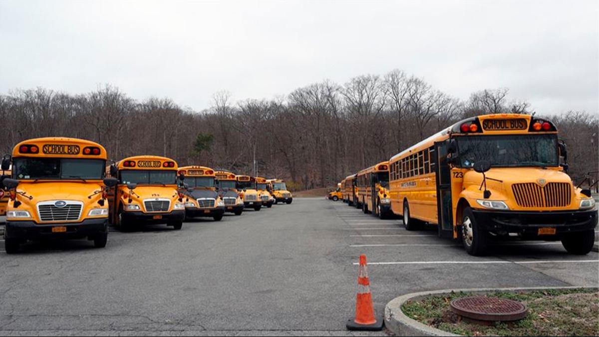 New York'ta koronavirs vaka art nedeniyle kapatlan okul says 169'a kt