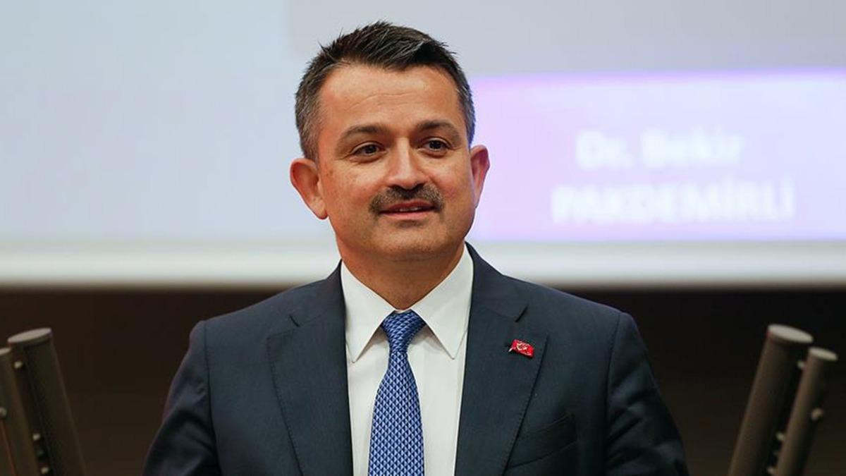 Toprak Mahsulleri Ofisi, zm almlarna devam ediyor