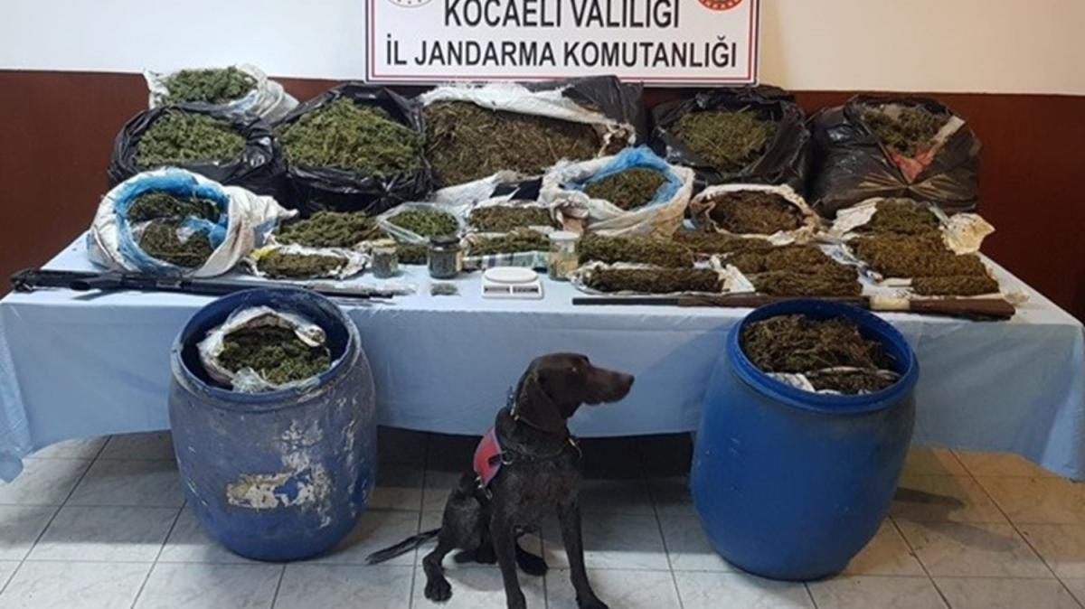 Kocaeli'nde narkotik operasyonu: 61 kilo esrar yakaland