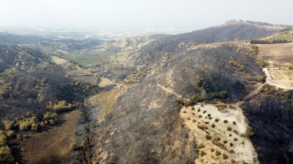Hatay'daki orman yangnlaryla ilgili 2 pheli tutukland