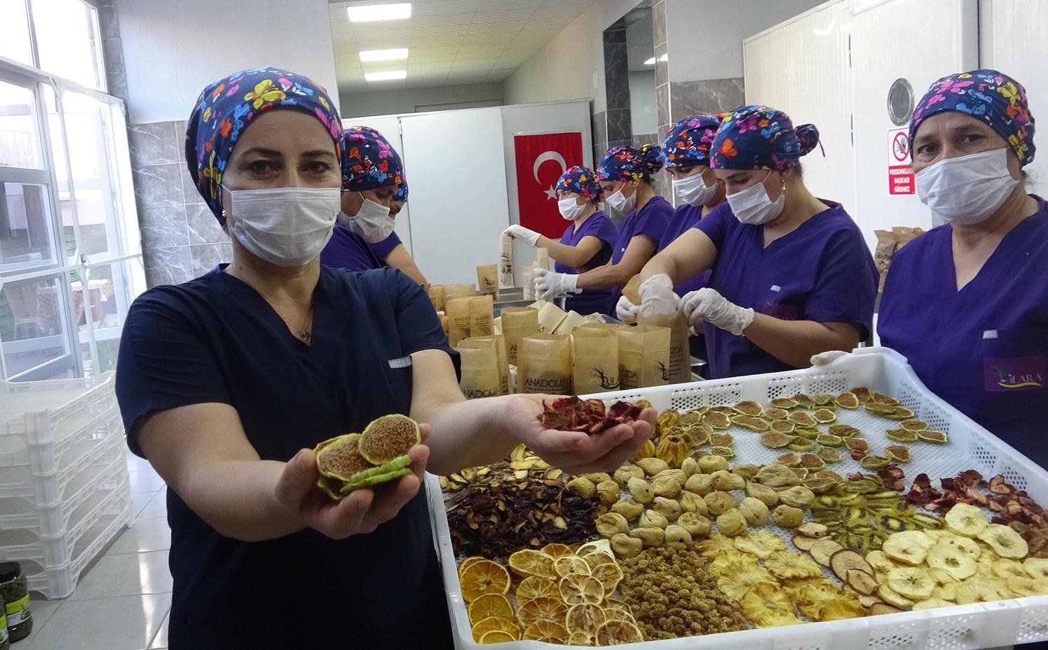 3 kilo incirle meyve kurutmaya ba�lad� devlet deste�iyle tesis sahibi oldu