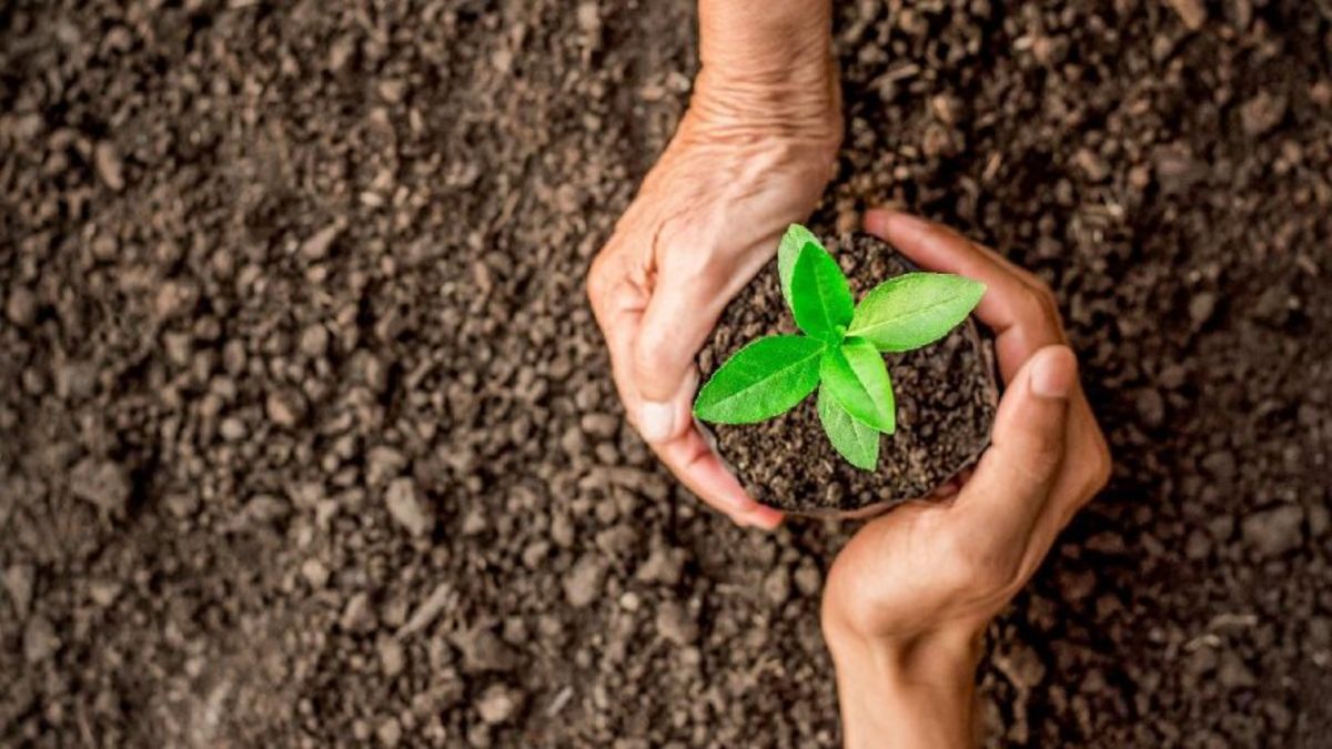 Bankalardan Hatay i�in ye�il seferberlik