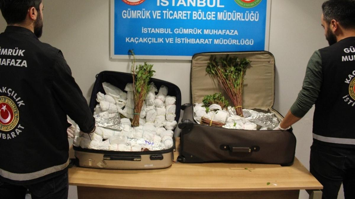 stanbul Havaliman'nda narkotik operasyonu: 208 kilo uyuturucu yakaland