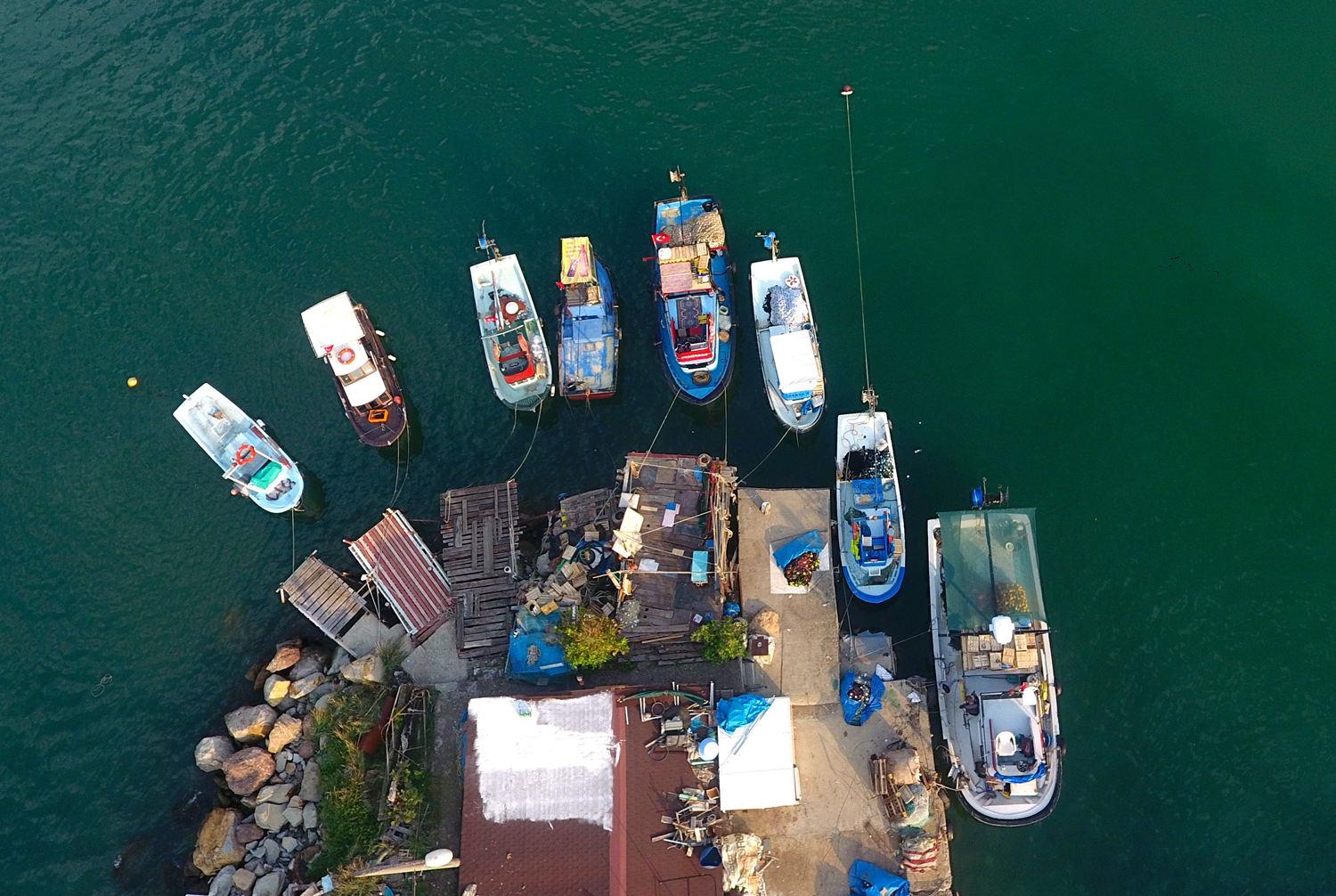 Bal�k��lar hamsiden umutlu