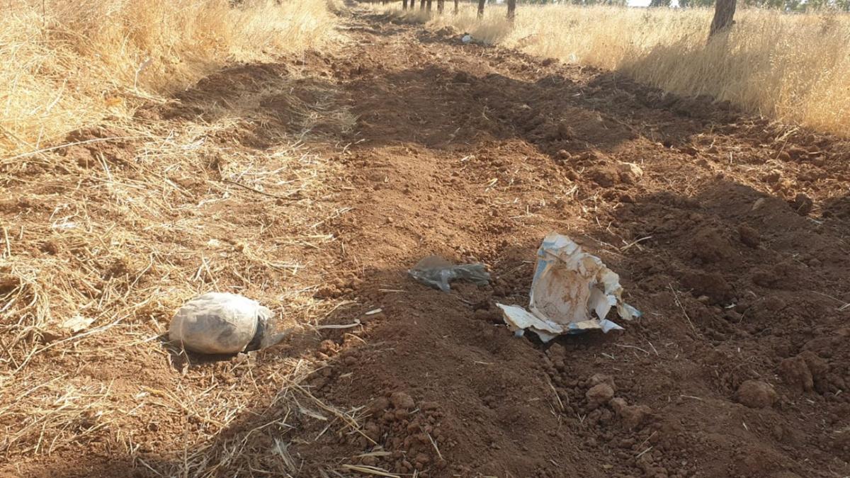 anlurfa'da topraa gml halde 8 kilogram patlayc bulundu