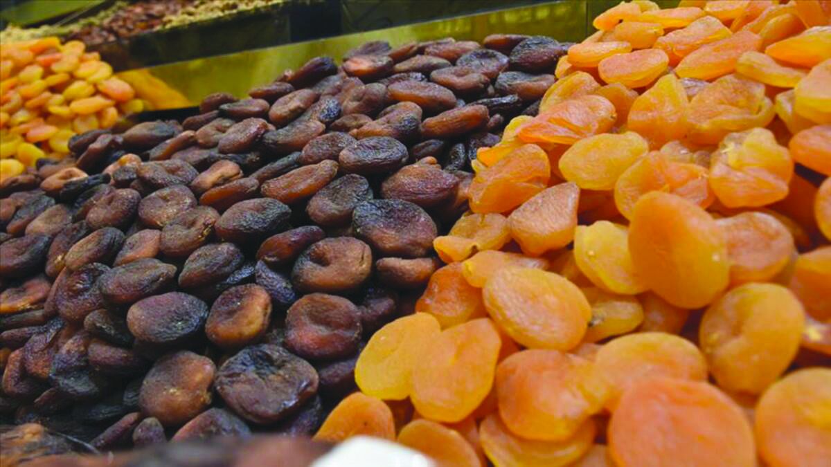T�rkiye'nin ilk kuru kay�s� lisansl� deposu Malatya'da bir hayali ger�e�e d�n��t�rd�