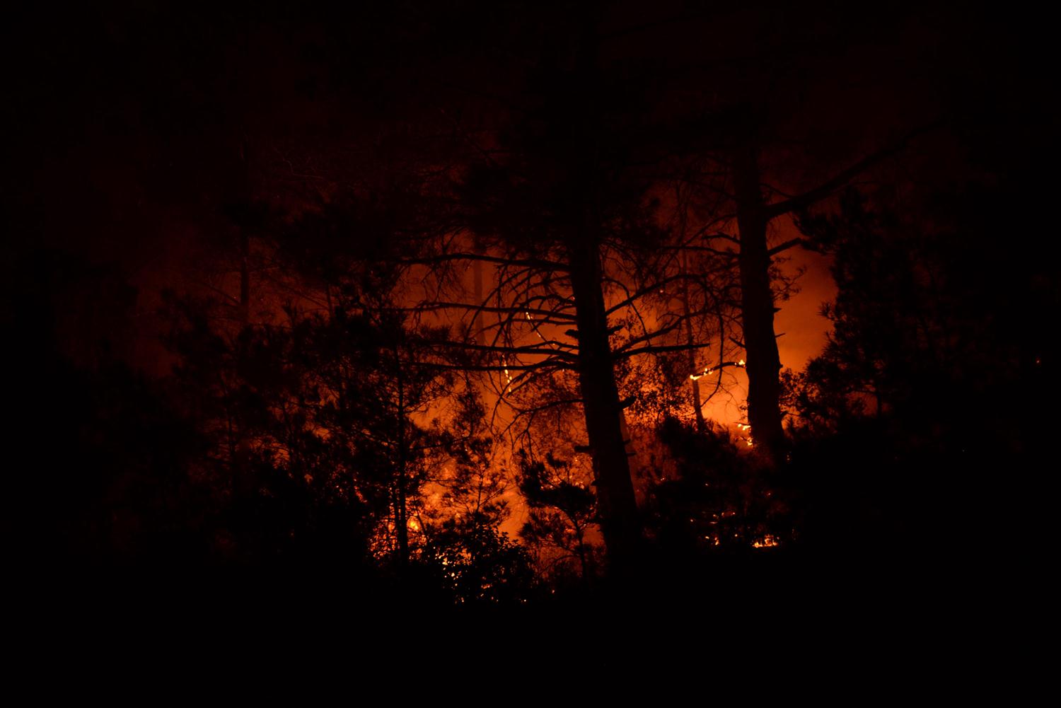 Bakan Pakdemirli Anamur'daki orman yang�n�n�n kontrol alt�na al�nd���n� bildirdi