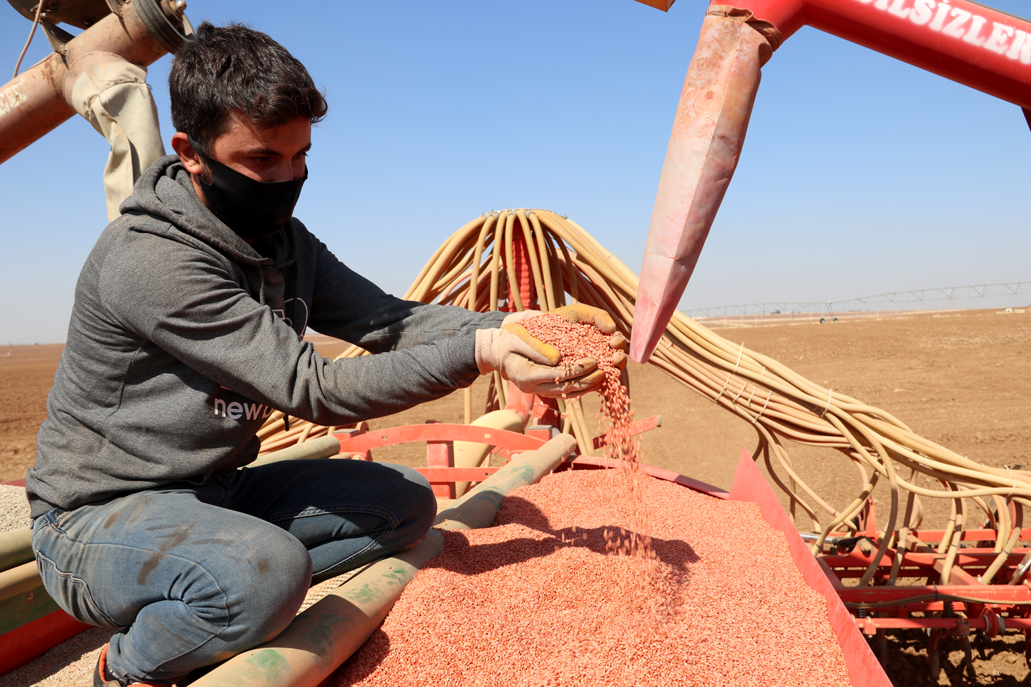 Yerli tohumlar �o�alt�larak toprakla bulu�turuluyor