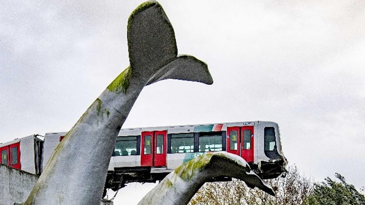 Hollanda'da bakm iin bo sefer yapan metro balina heykeline arpt: 10 metre ykseklikte asl kald